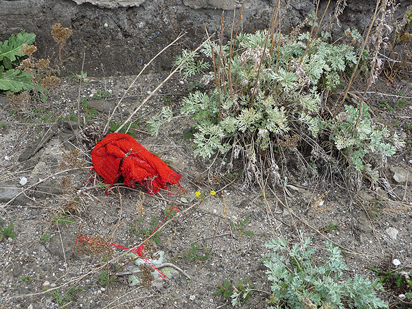 Trash Problem in Armenia